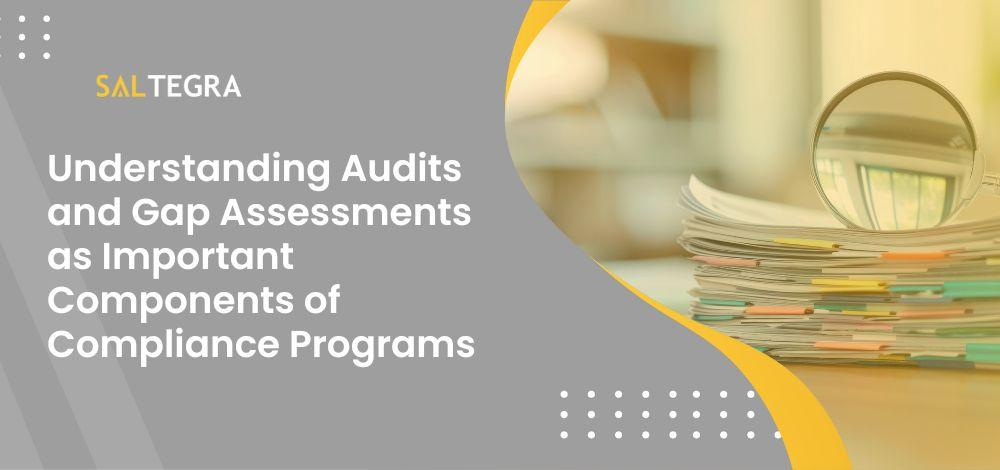 Understanding Audits and Gap Assessments as Important Components of Compliance Programs
